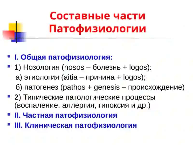 Введение в патофизиологию 4