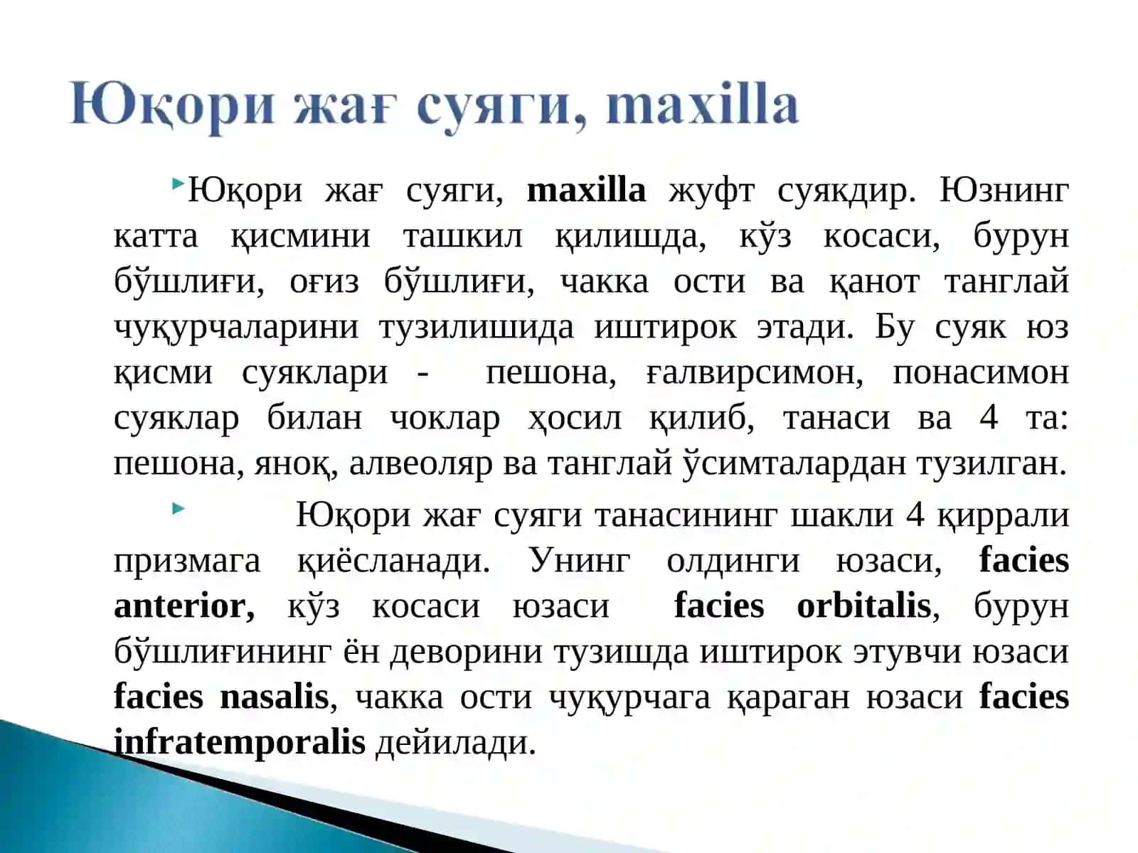 Калла суяги (cranium) 4