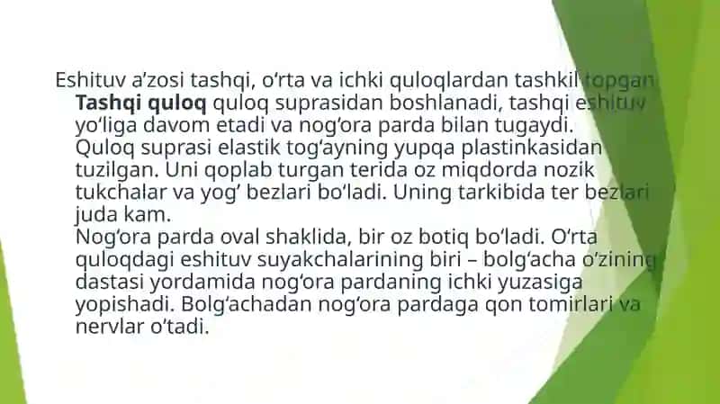 Eshitish organi innervatsiyasining hususiyatlari 4
