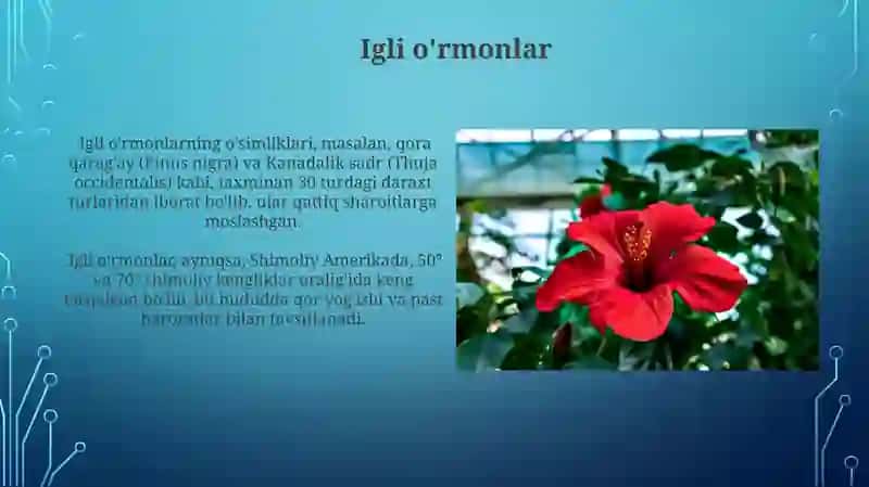 Quruqlik biomlarining zonal tiplari 4