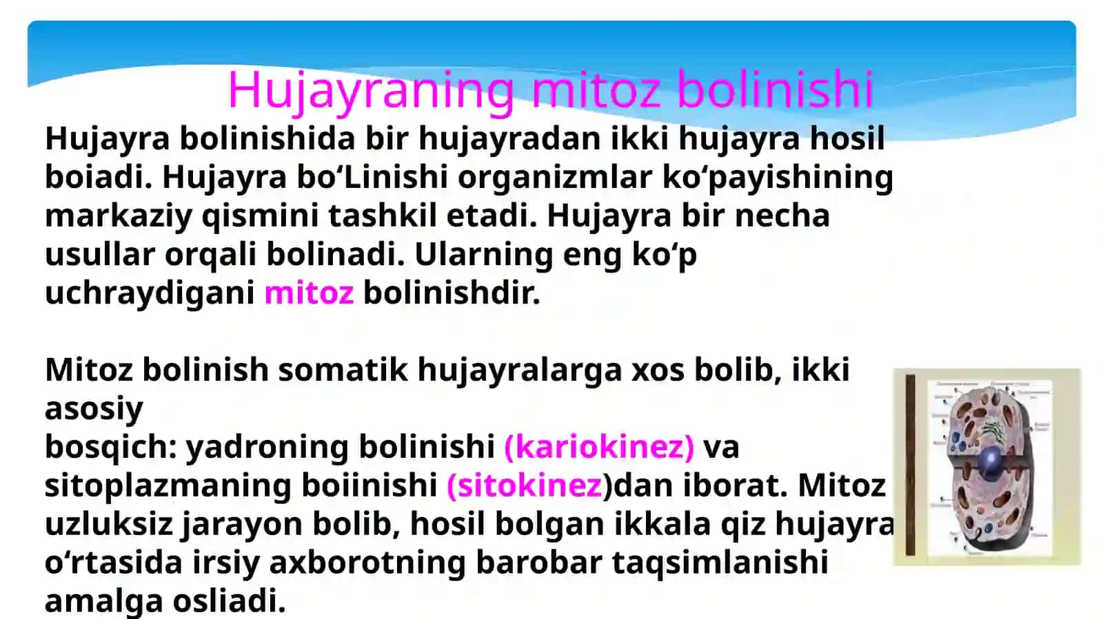 Organizamlarning ko'payishi 4