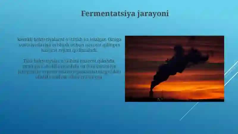 Ozuqa -fermentlarini ishlab chiqarish 4
