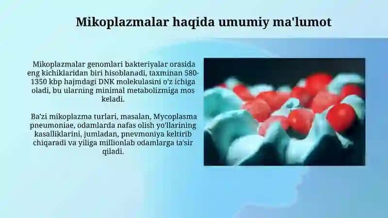 Mikoplazmalar: Tuzulimi va O'lchami 4