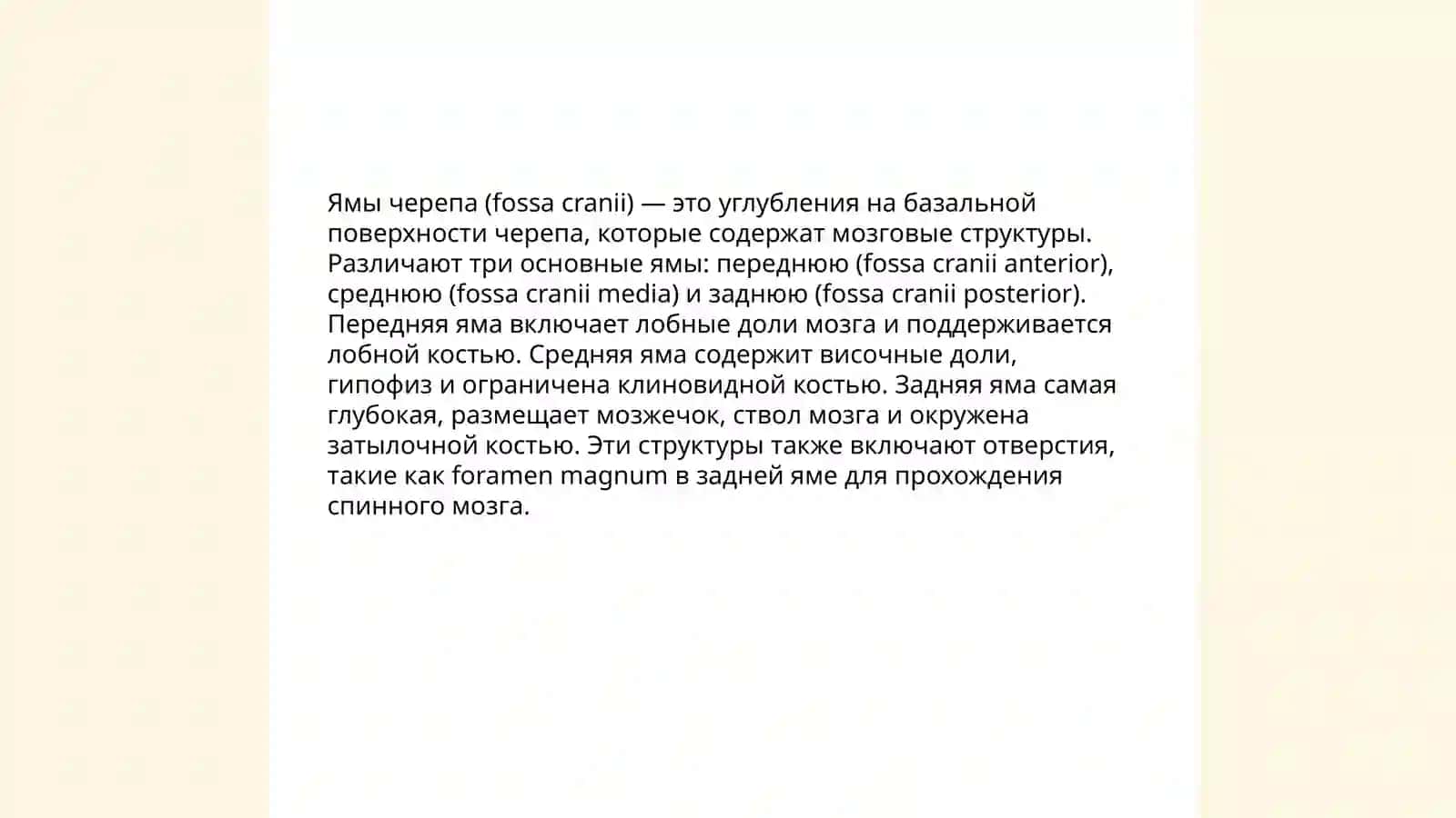 Основание черепа 4