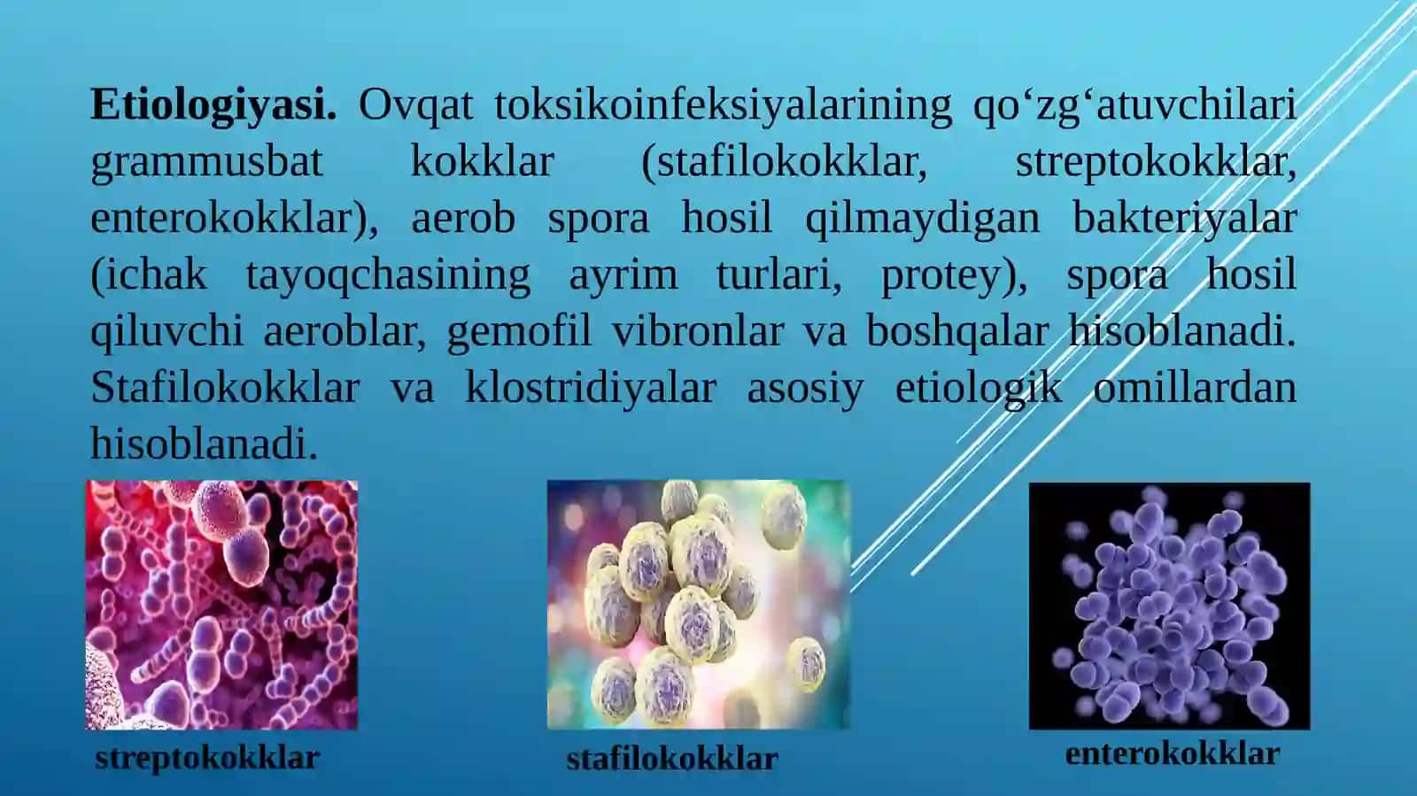 Ovqat toksikoinfeksiyalari 4