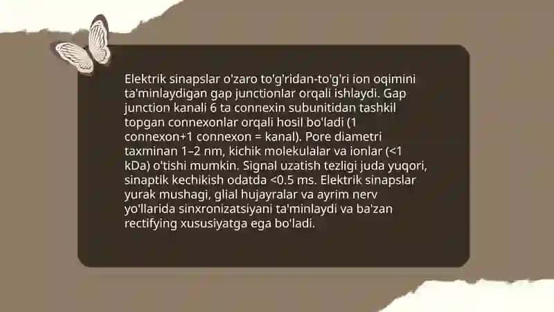 Kimyoviy va elektrik sinapslar 4
