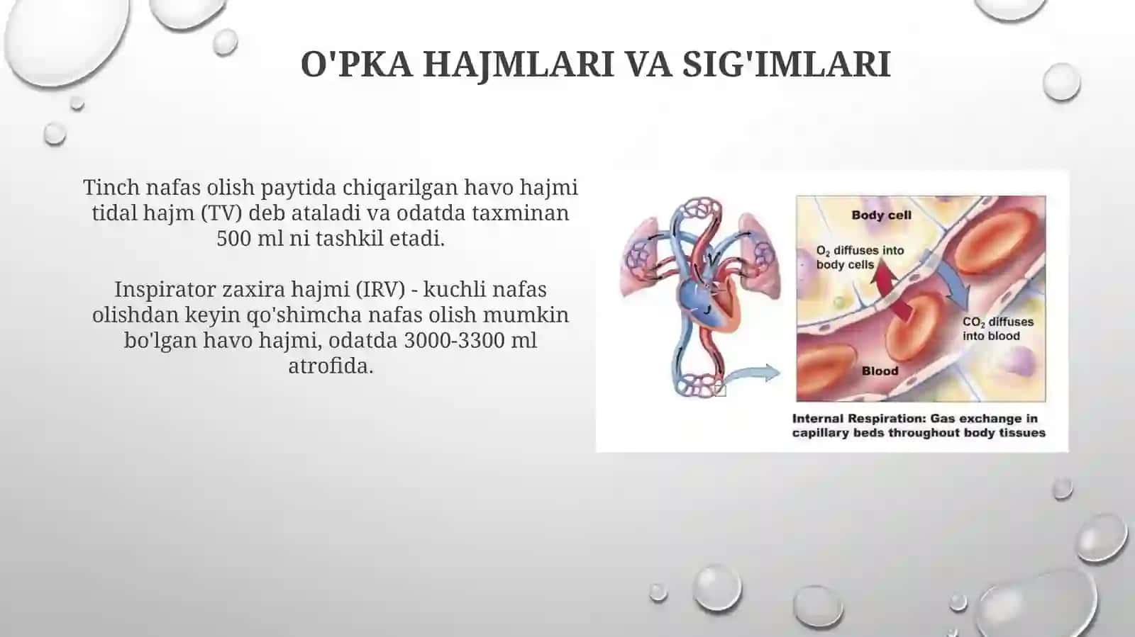 Nafas olish va fizialogiyasi 4