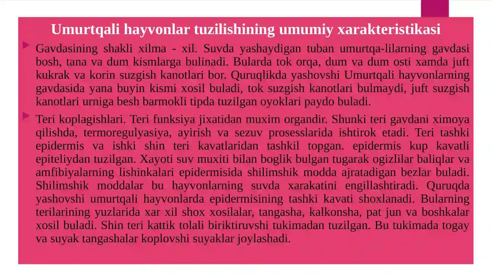 Umurtqalilar kenja tipi 4