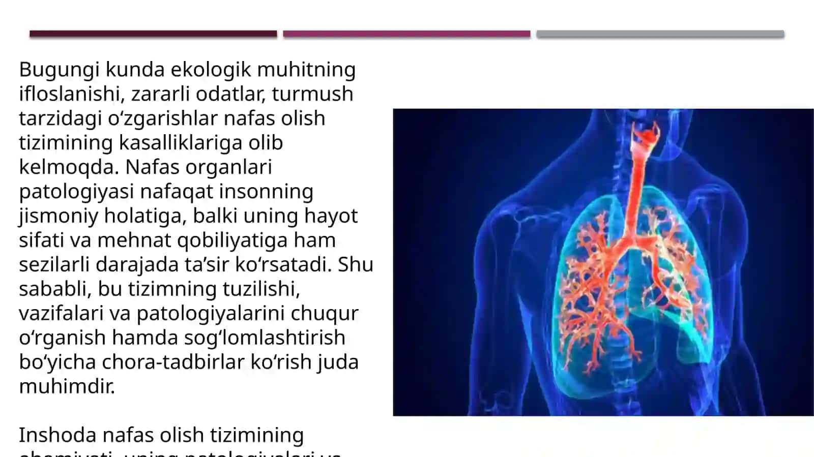 Nafas organlari patologiyasi 4