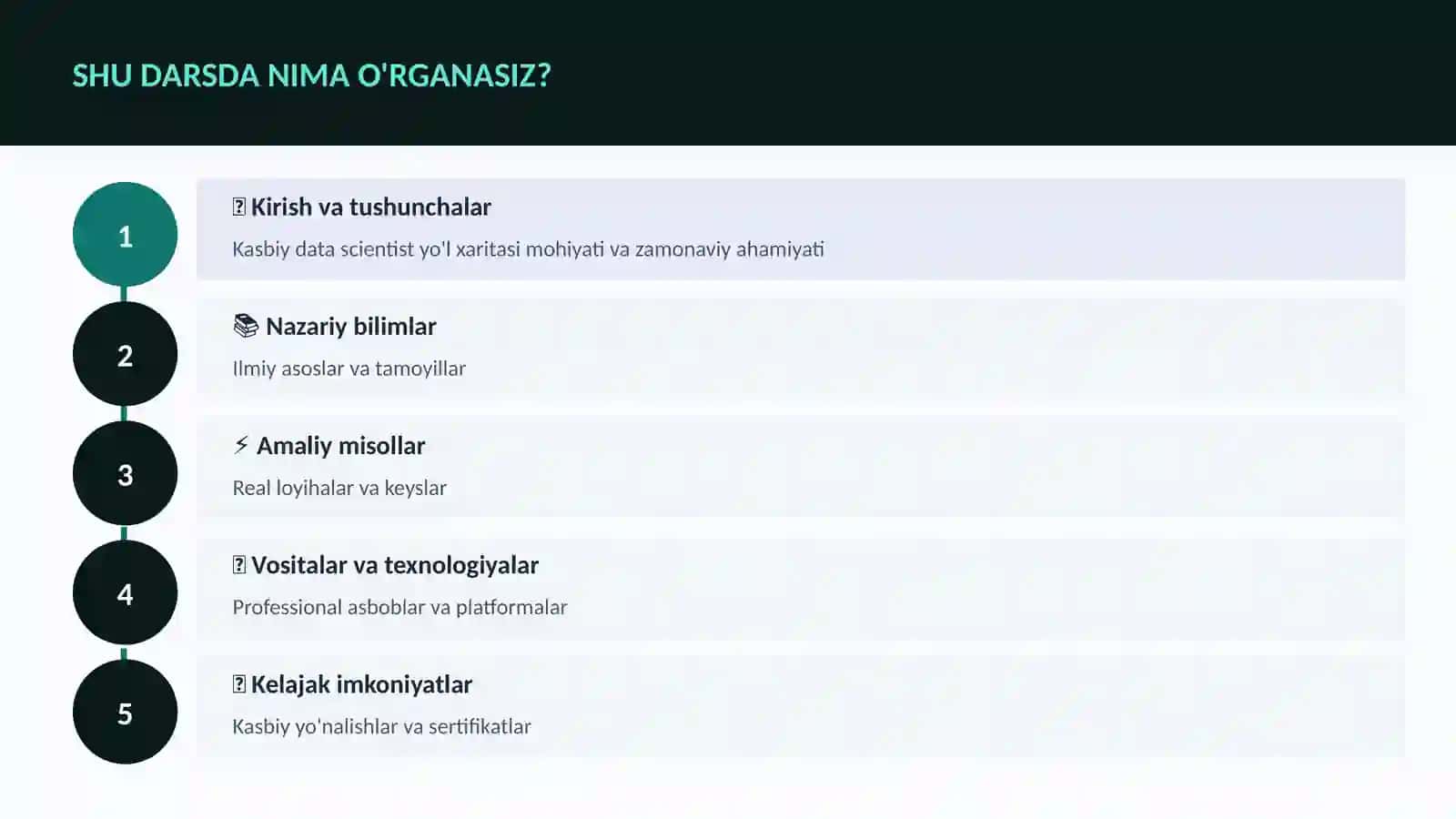 Kasbiy data scientist yo'l xaritasi 4