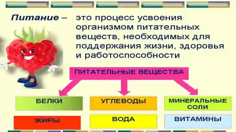 Пищевые продукты 4