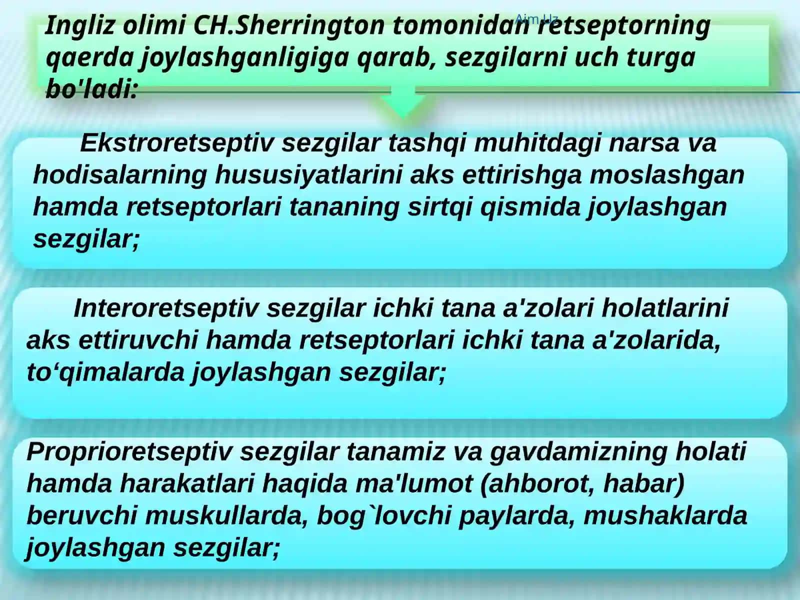 Sezgi 4