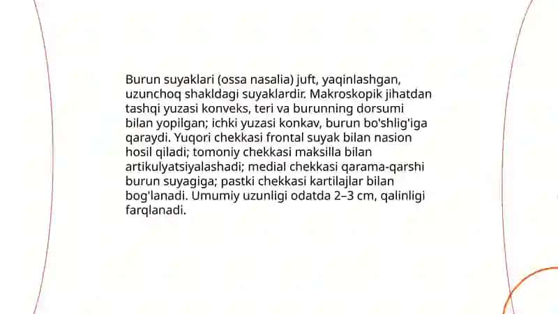 Odam Anatomyasi burun suyaklari 4
