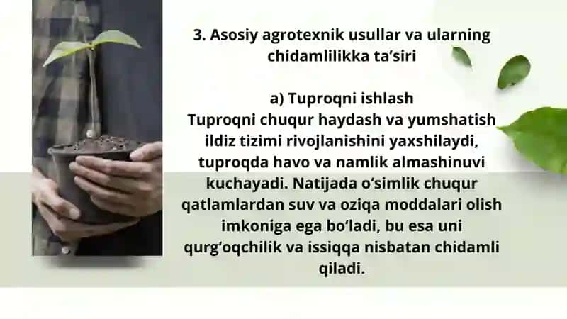 O‘simlik chidamligiga agrotexnik tadbirlarning ta’siri 4