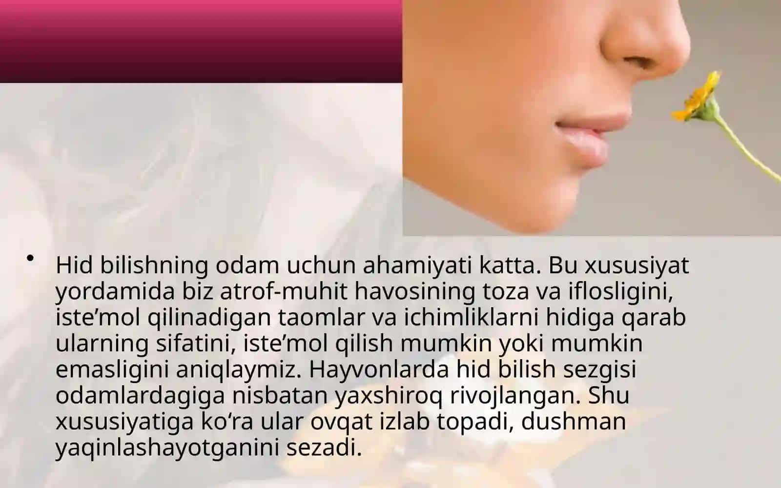 Hid va ta’m bilish organlari 4