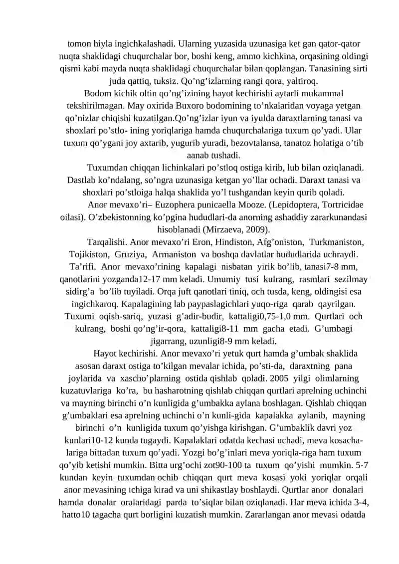 TOK ZARARKUNANDALARI 4