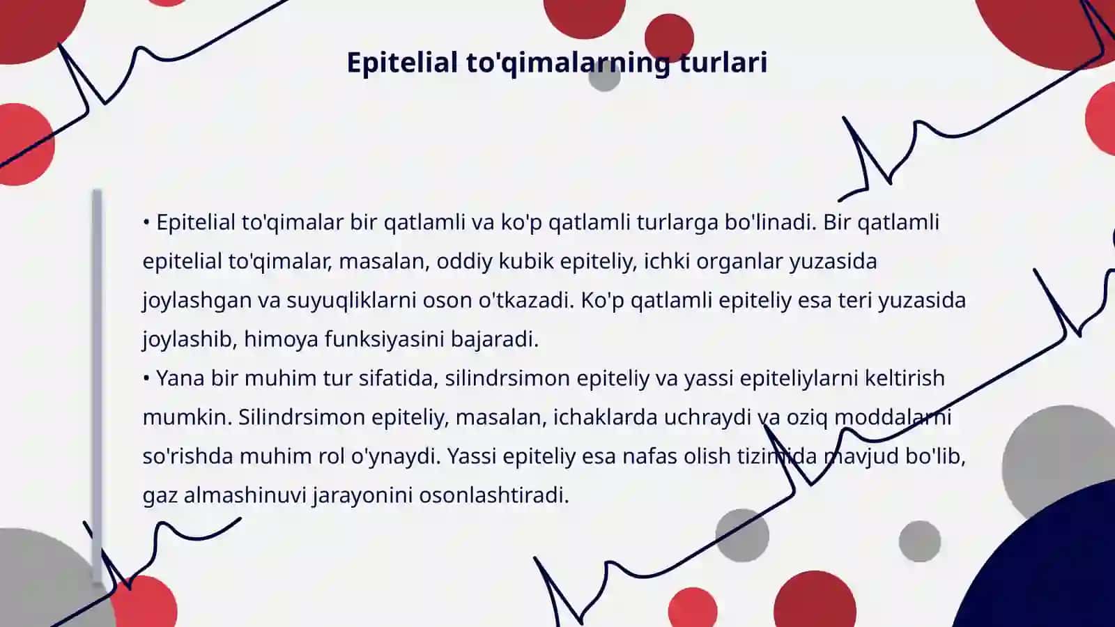 Epitelial toʻqima turlari 4