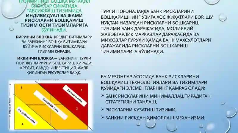 Банк рискларини бошқариш тизими 4