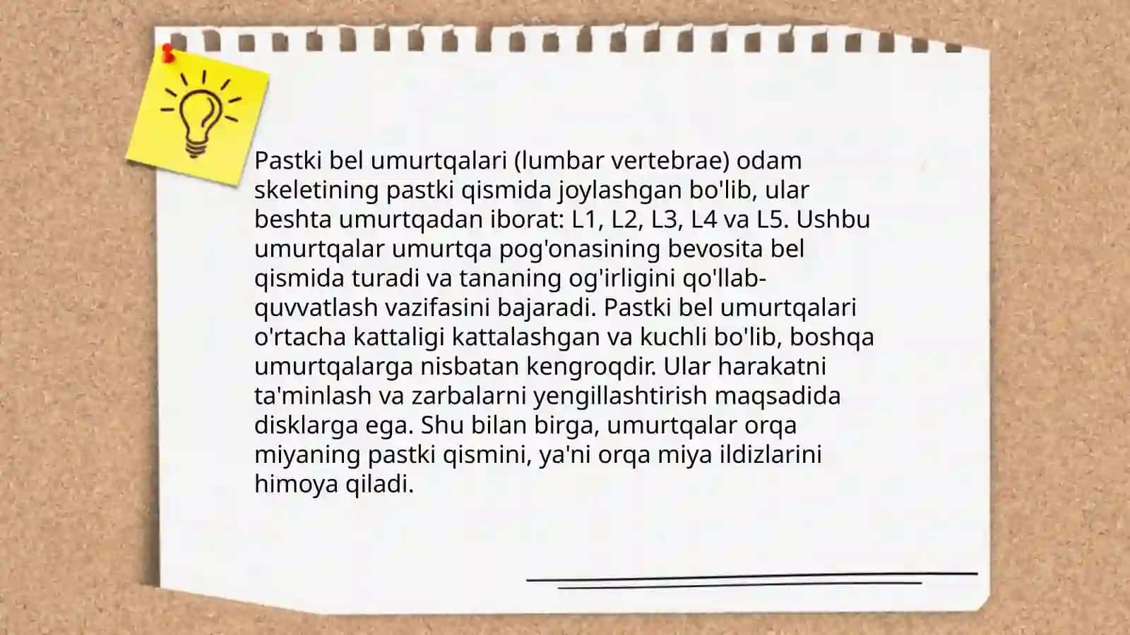 Pastki kamar suyaklarining tuzilishi 4