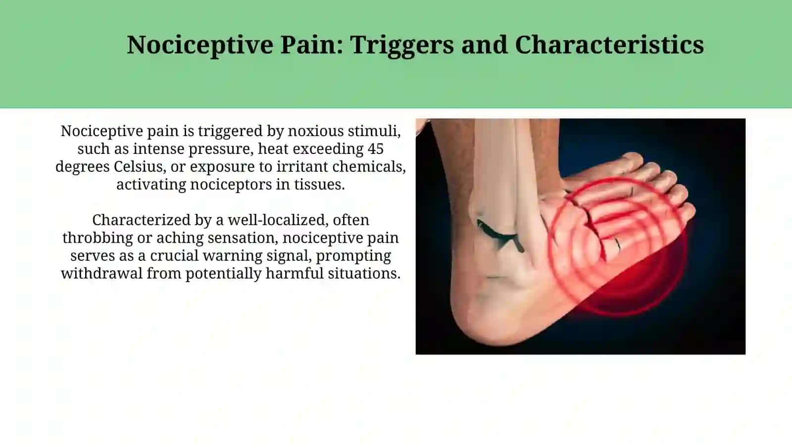 Pain Classification: Mechanisms, Qualities, and Temporal Aspects 4