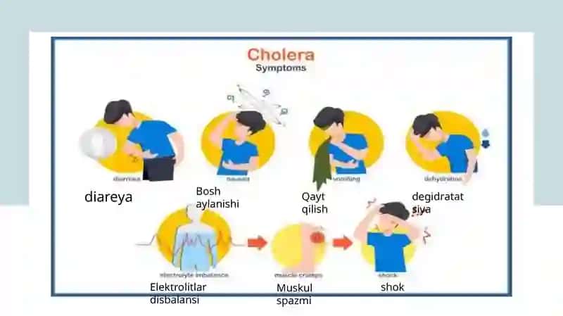 O’taxavfli yuqumli infeksiyalar. Epidemiologiya 4