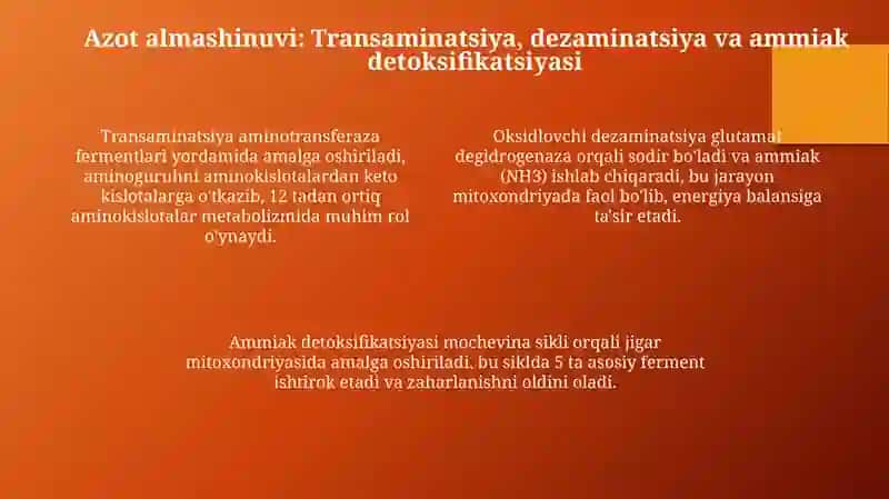 Aminokislotalar almashinuvi 4
