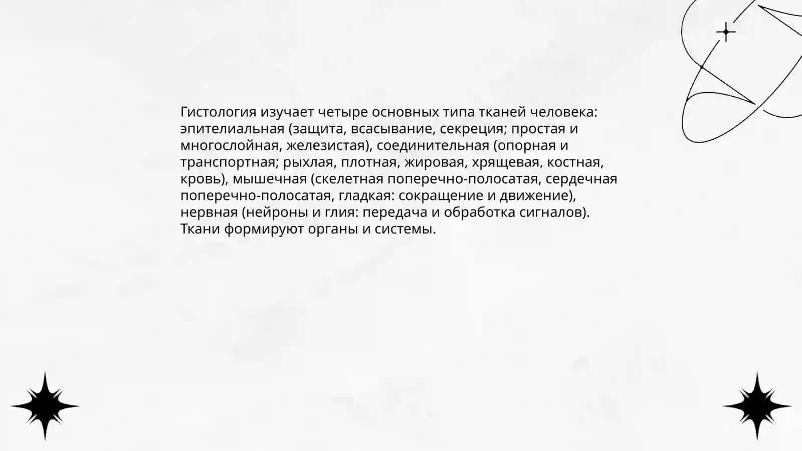 Анатомия и физиология человека Тахирова Диана 4
