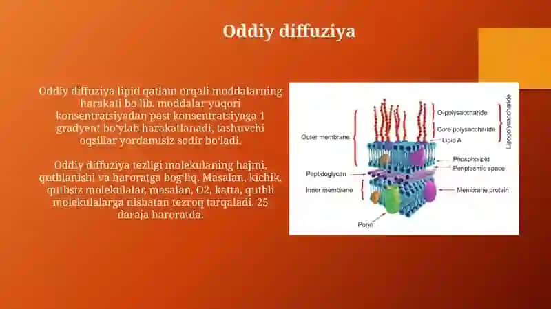 Membrana transporti mexanizmlari 4