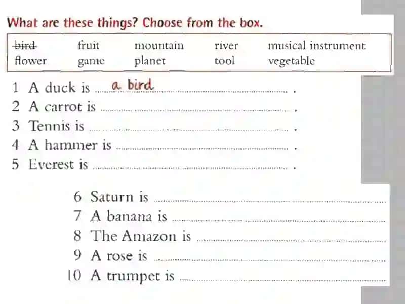 Set Expressions in English Grammar 4
