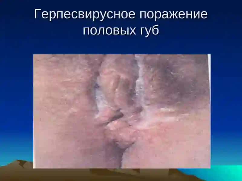 Бухоро Давлат Тиббиёт институти 4