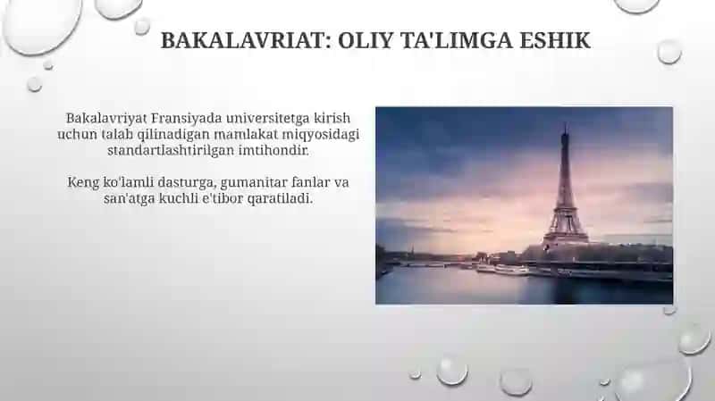 Fransiyada ta'lim tizimini oʻziga hos hususiyatlari 4