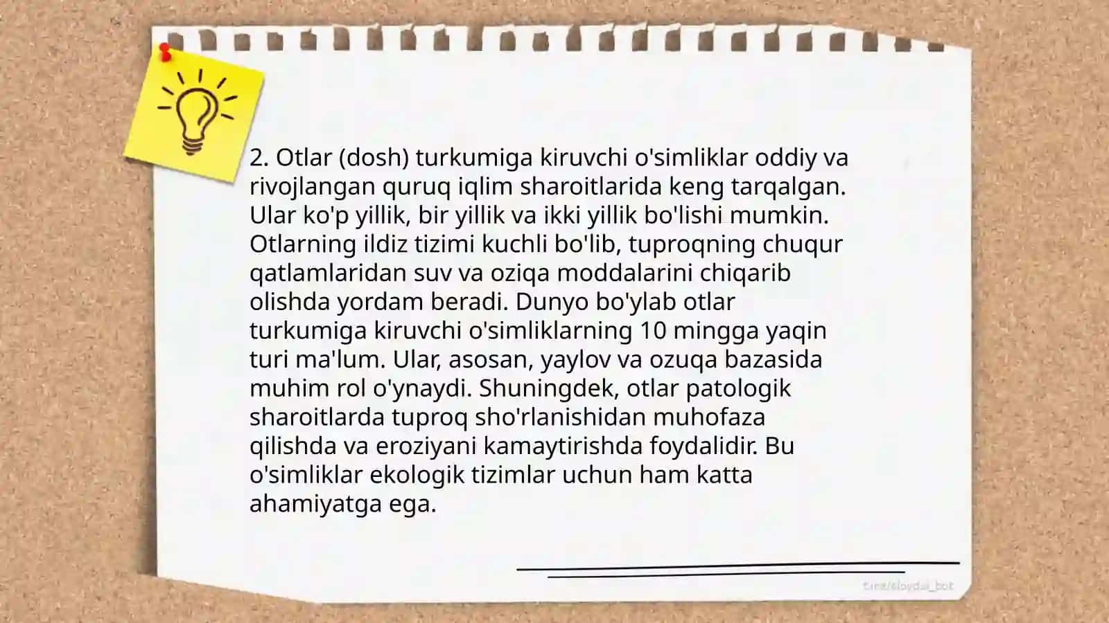 Mustaqil soʻz turkumlari 4