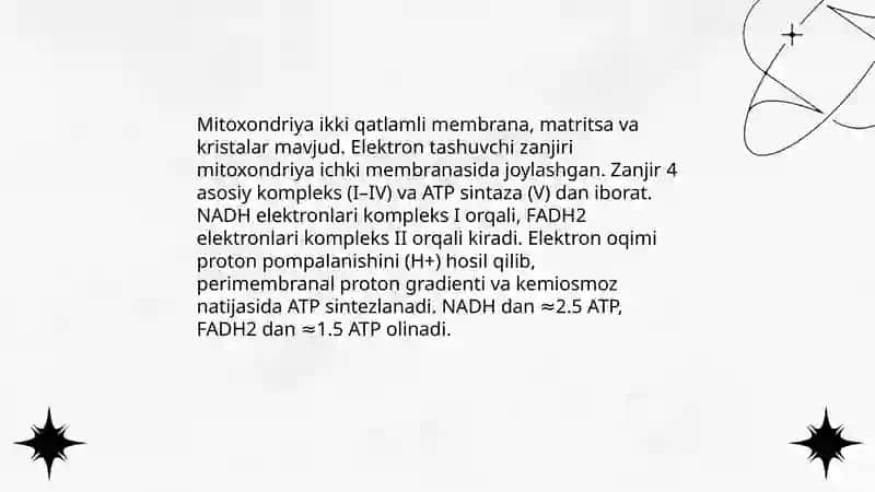 Hujayrada energiya almashinuvi. Malumotlar oqimi 4