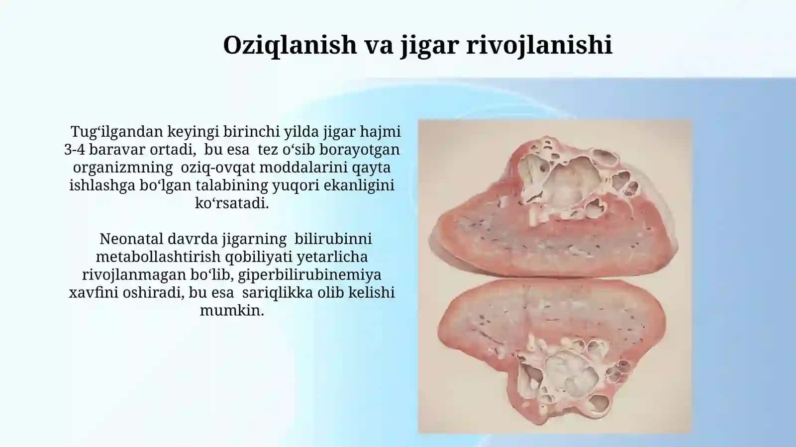 Jigarning prenatal va postnatal rivojlanishi 4
