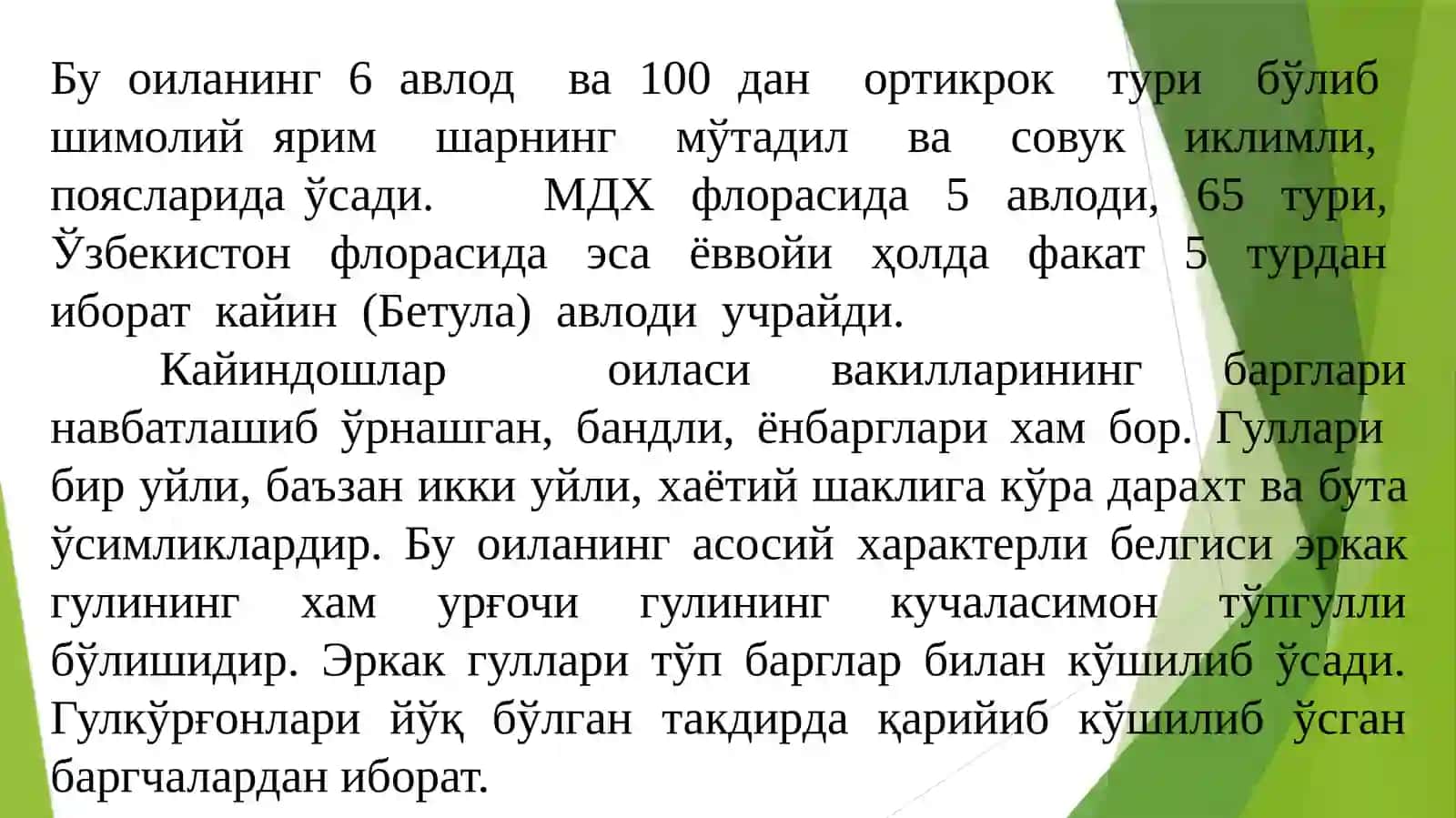 ҚАЙИНДОШЛАР(ВЕТULАСЕАЕ) ОИЛАСИдоривор ўсимликлари 4