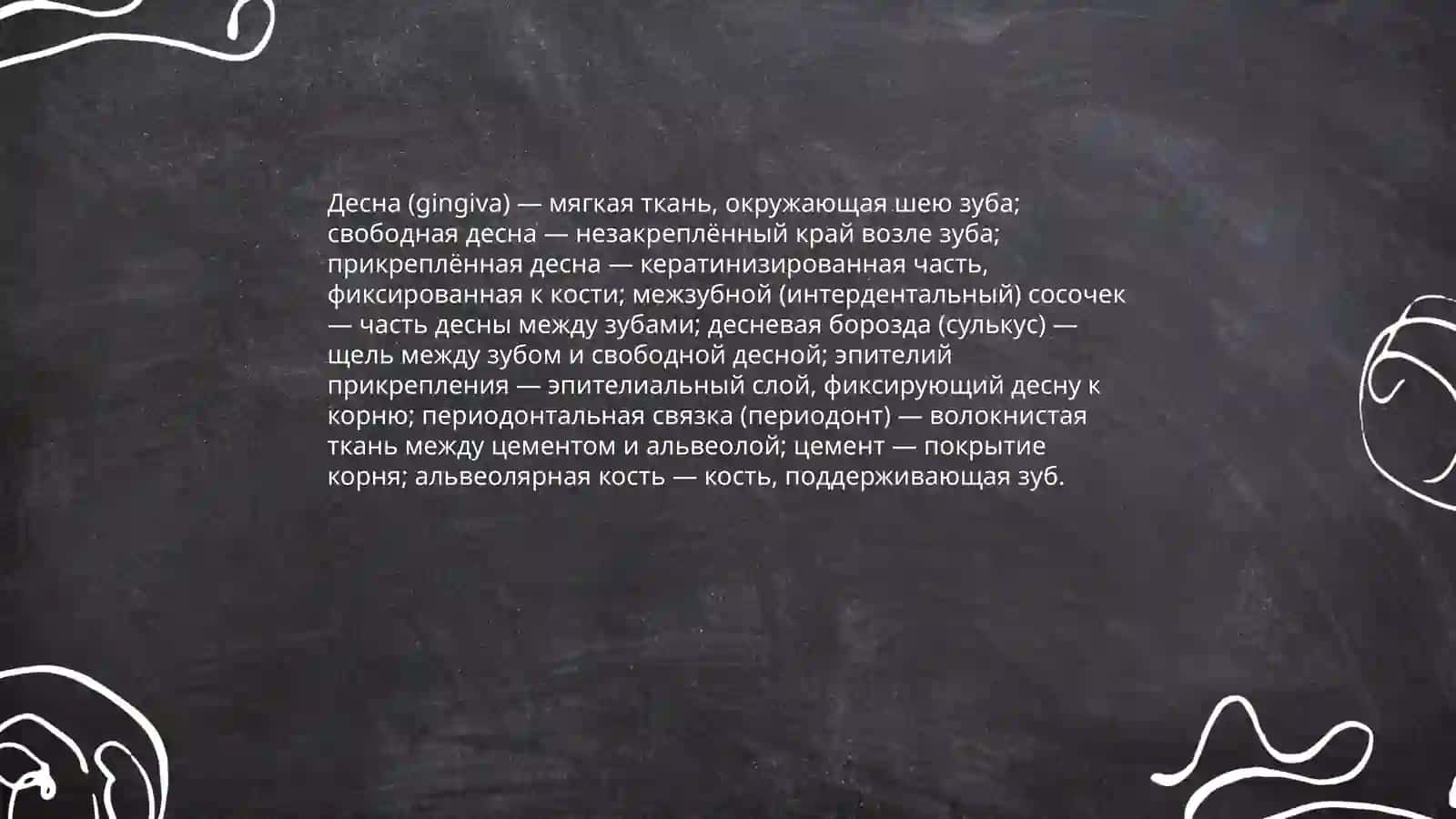 Лексическая тема стоматологическая терминология 4