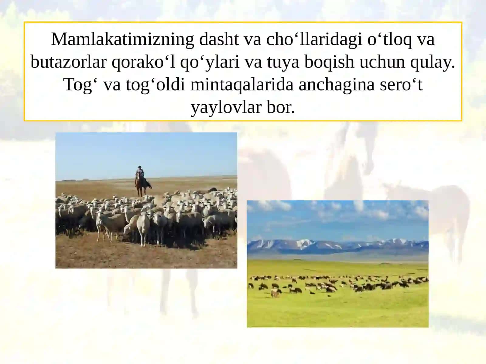 CHORVACHILIK 4