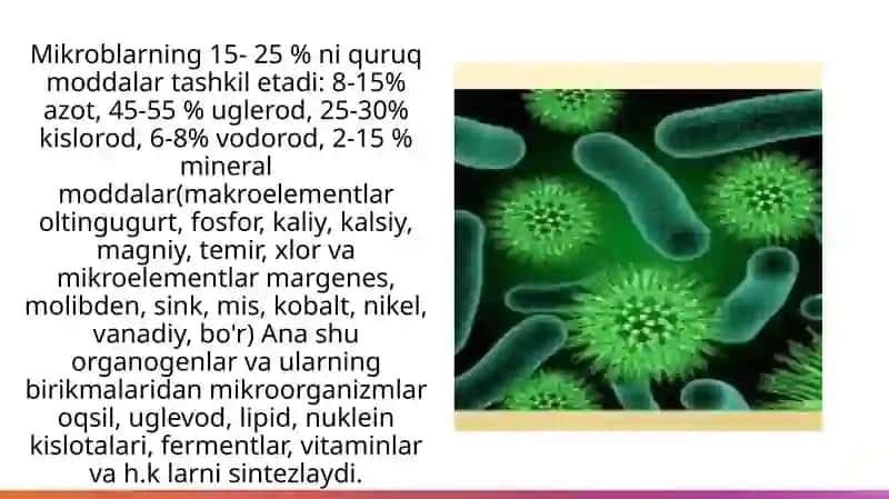 Qo'qonuniversitetiAndijonFiliali 4