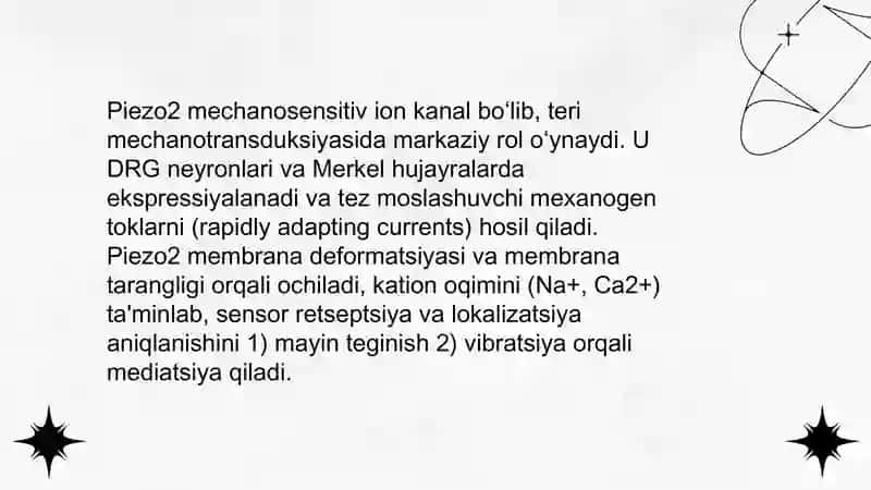 Sensor retseptsiya, teri analizatori lokalizatsiyani aniqlash 4