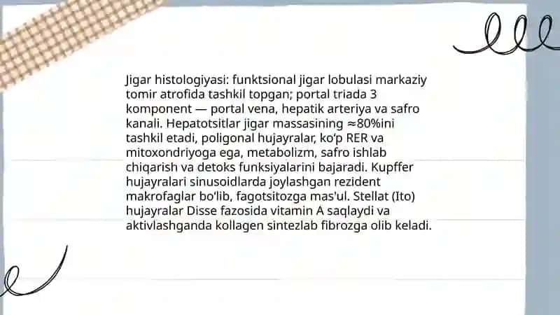 Jigar va uning faoliyati 4