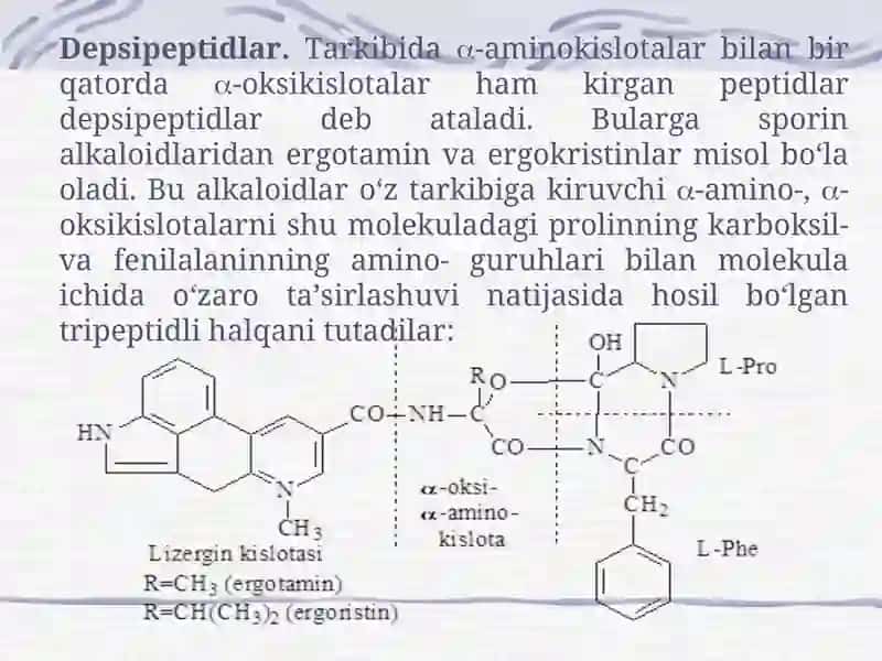 Peptidlarning  biologik vazifalari 4