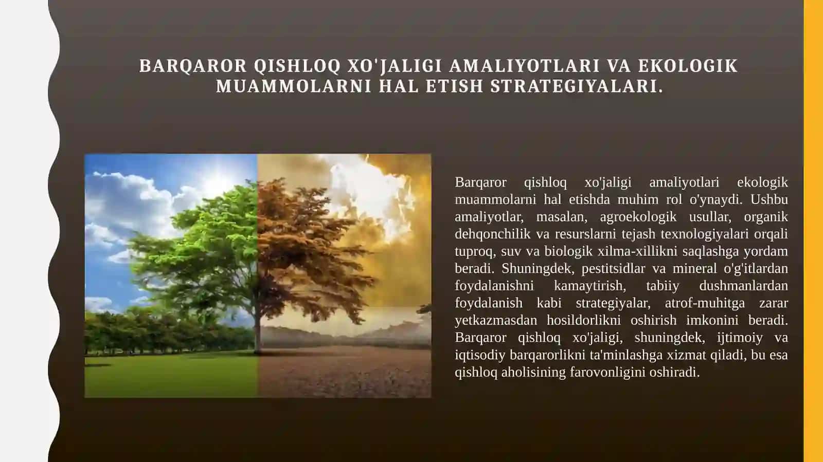 Agrokimyoning ekologik muammolari haqida 4