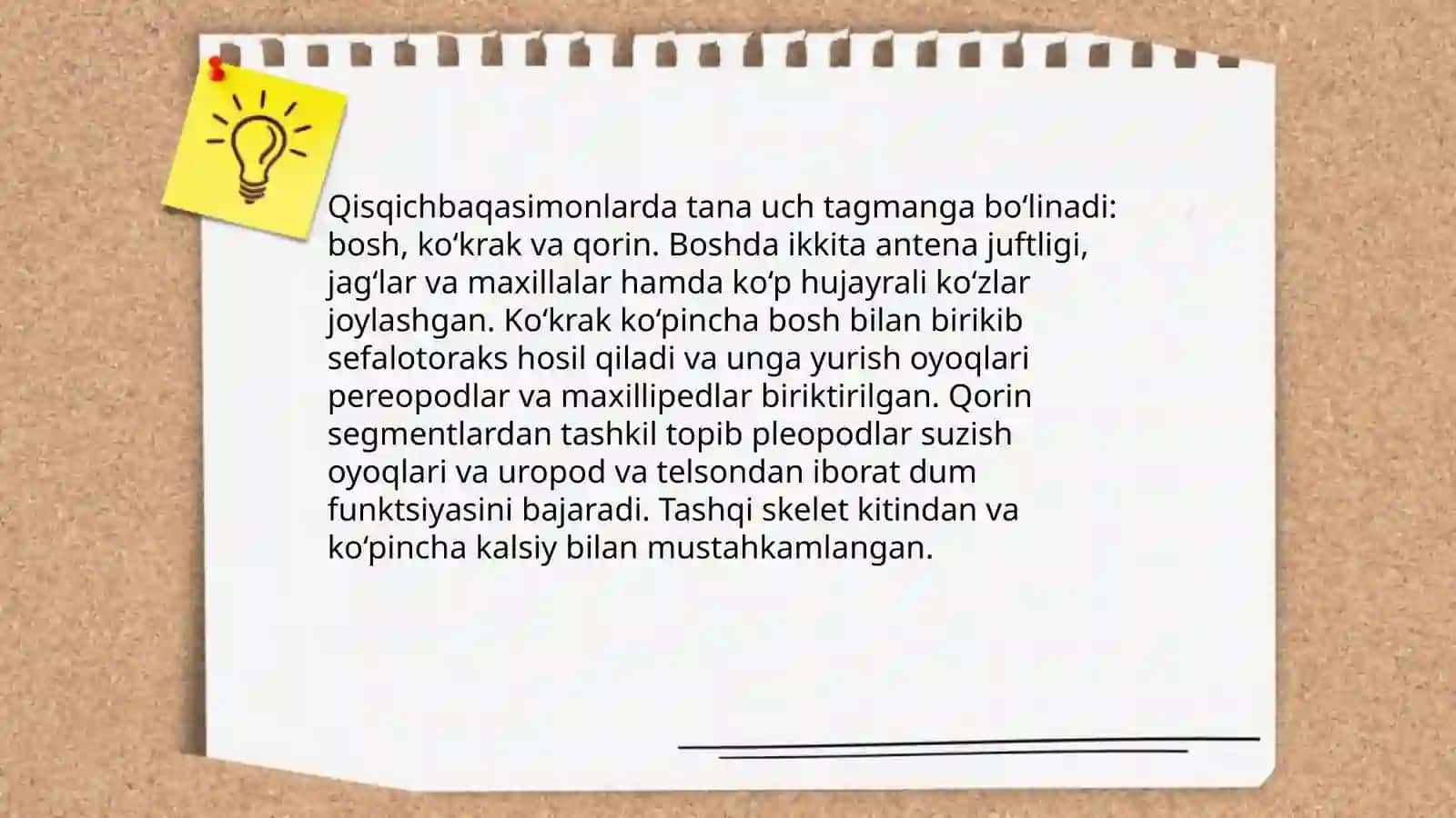 Boğimoyoqlilar tipi 4