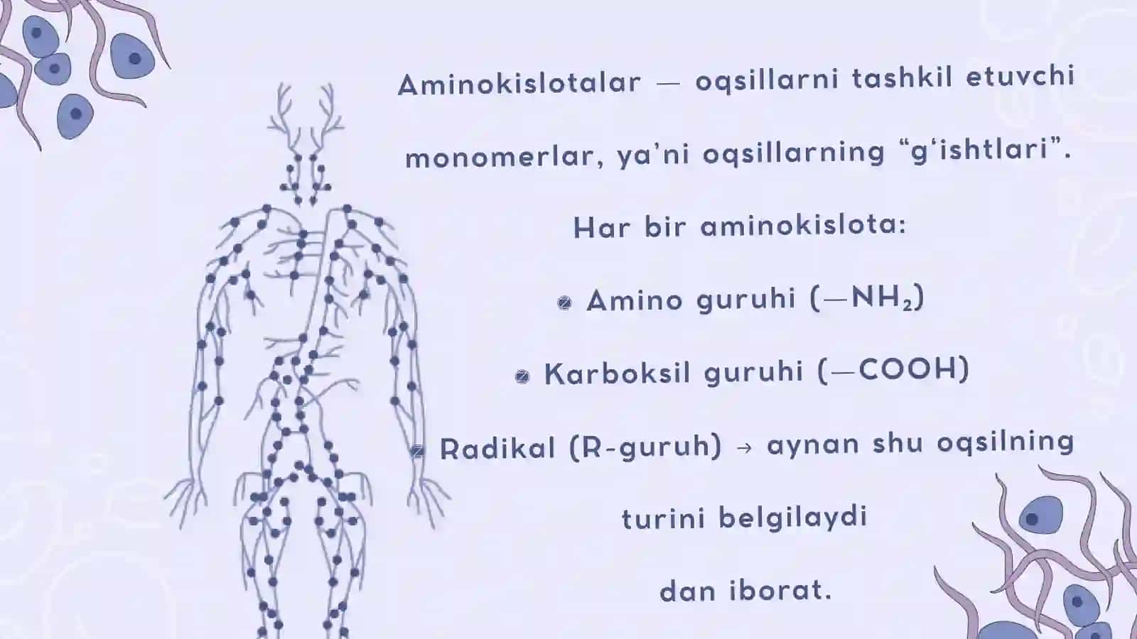 Prezentatsiya_Biologiya 4