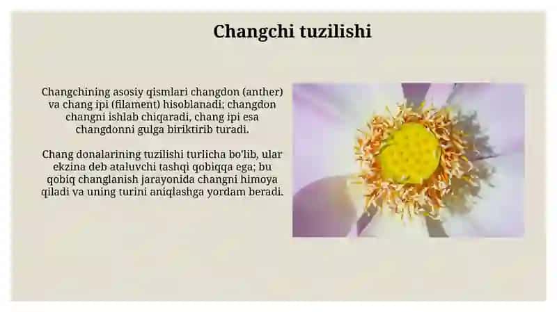Gul tuzilishi va changlanish 4