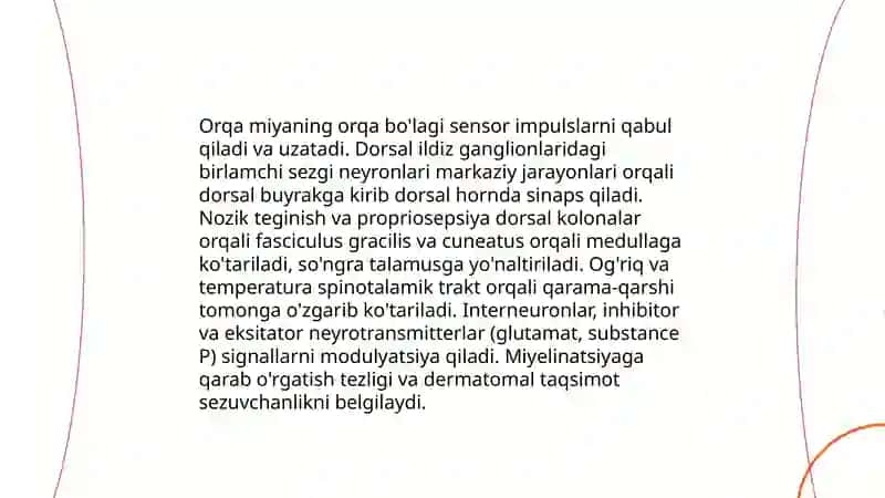Orqa miyaning funksiyasi 4