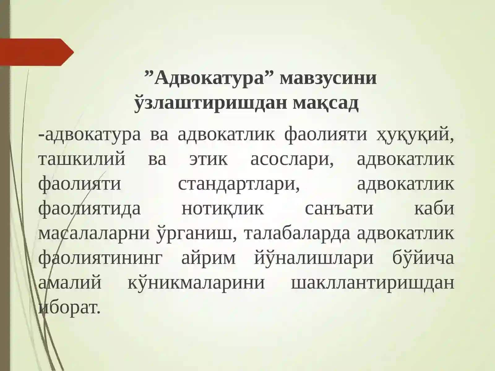 Адвокатура 4