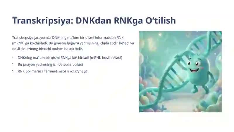 Oqsil Biosintezi: Hayotning Asosiy Jarayoni 4