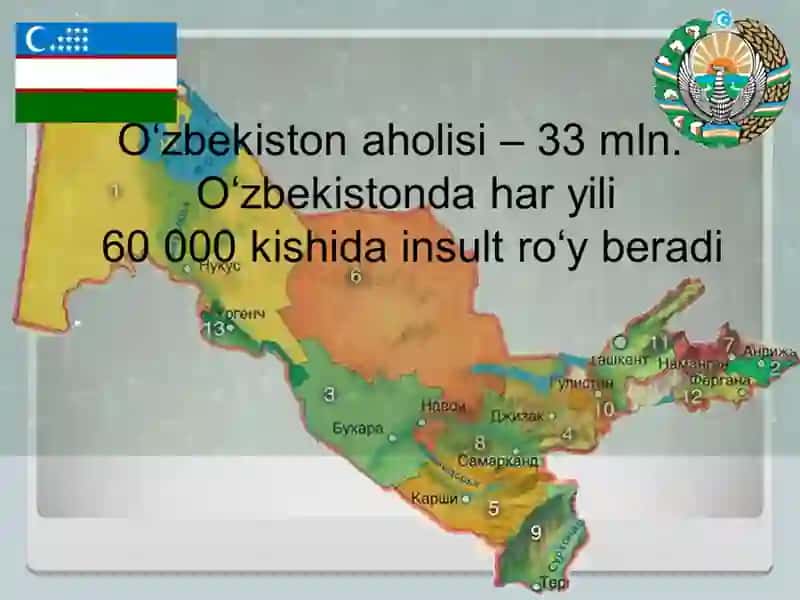 Miyada qon aylanishining buzilishi 4