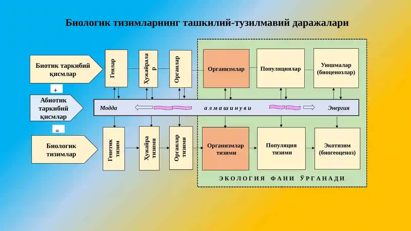 Организм ва муҳит тушунчаси 4